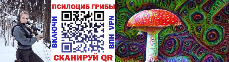 цены наркотик  Набережные Челны  Псилоцибиновые грибы Magic Shrooms 