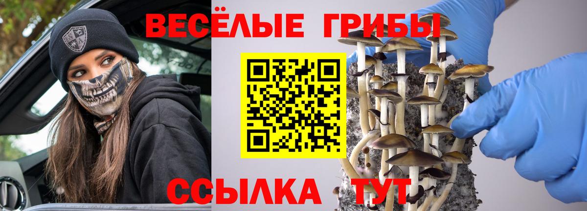 Псилоцибиновые грибы Psilocybe Набережные Челны