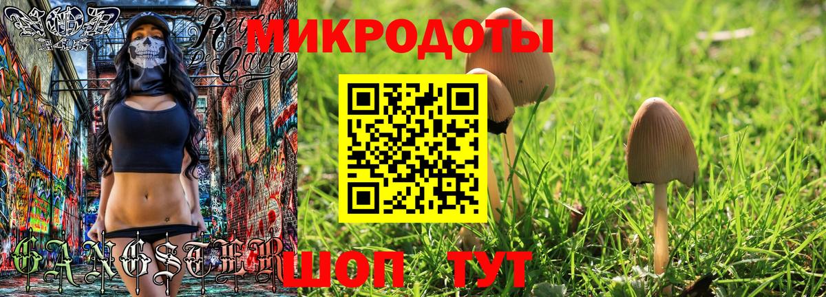 Галлюциногенные грибы Psilocybe  Вход с VPN  Набережные Челны 